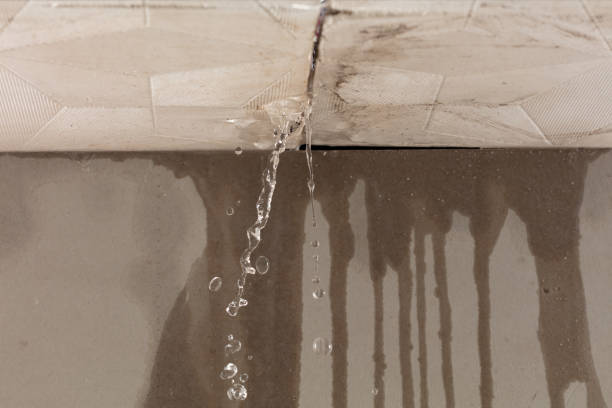 Professional Water Damage Inspection technician working in Glenmont, NY